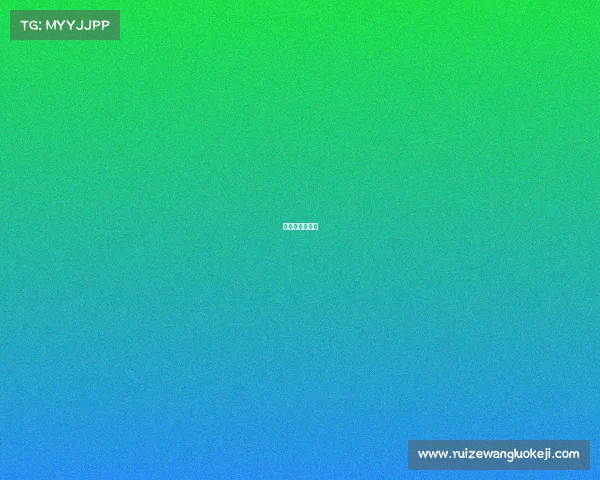 沈阳马拉松比赛